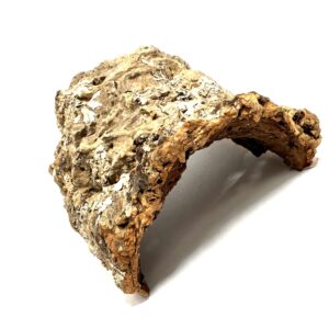 Kryjówka naturalna - Dąb korkowy - Nora korkowa