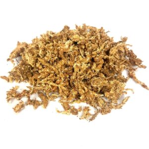Mech torfowiec- Sphangnum chilijski - Naturalny regulator wilgotności