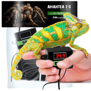 Terrario Amantea 2.0 5W - mata grzewcza z termostatem - pająk - skorpion - gekon
