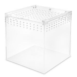 terrarium-akrylowe-15x15x15-cm-strong (1) spiders laboratory