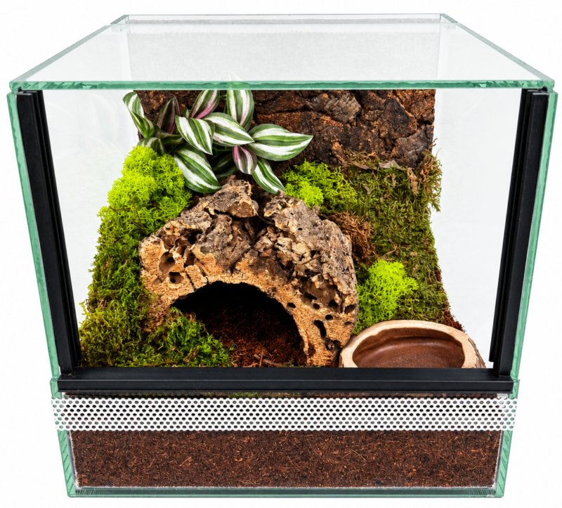 Podstawowe wyposażenie terrarium - Spiders Laboratory Blog