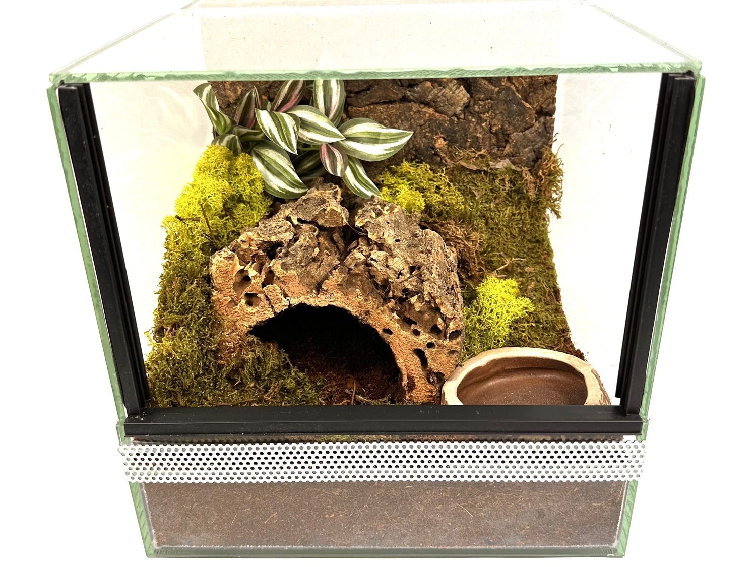 Podstawowe wyposażenie terrarium - Spiders Laboratory Blog