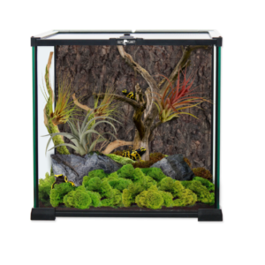 terrarium repti planet szklane spiders laboratory (5)