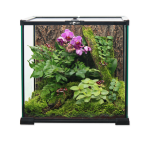 terrarium repti planet szklane spiders laboratory (5)